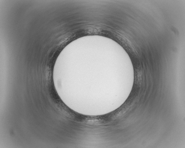 X0000116150228200912211515