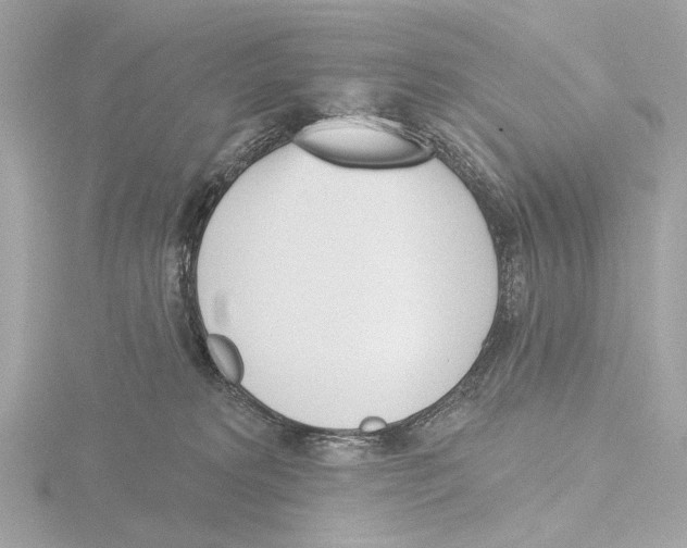 X0000116150229200912211515