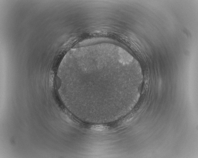 X0000116150231200912211515