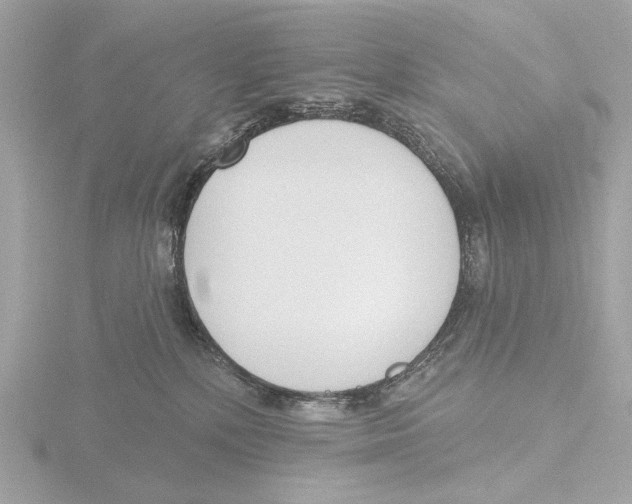 X0000116150232200912211515