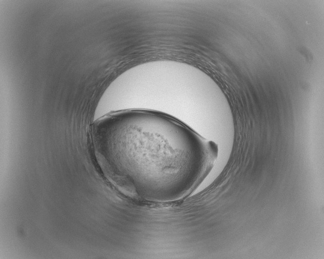 X0000116150235200912211515