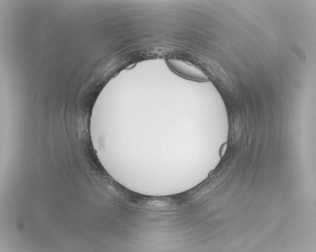 X0000116150236200912211515