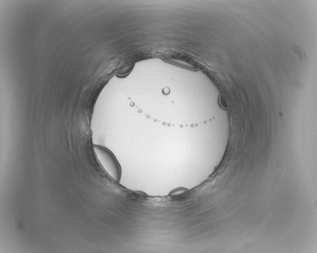 X0000116150240200912211515