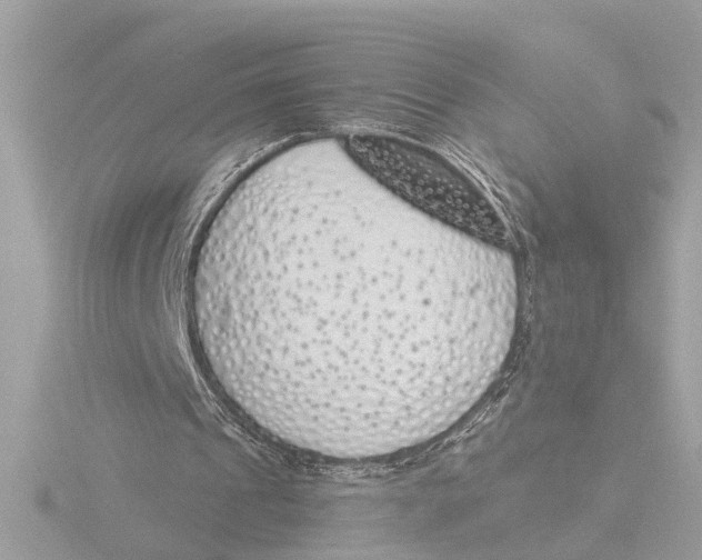 X0000116150241200912211514