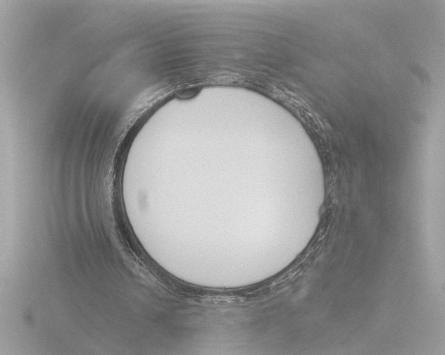 X0000116150242200912211514