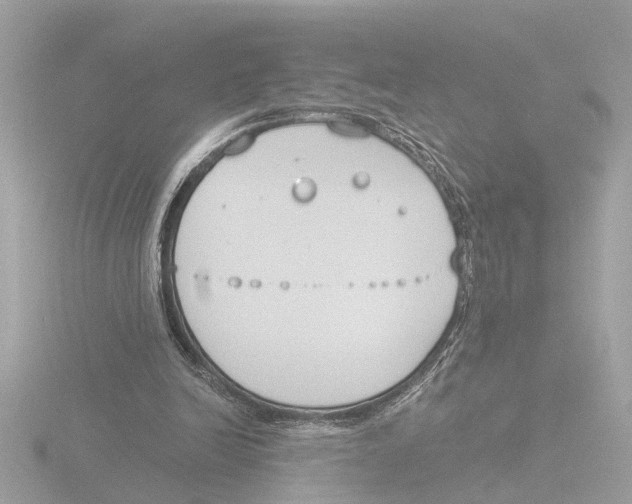 X0000116150246200912211514