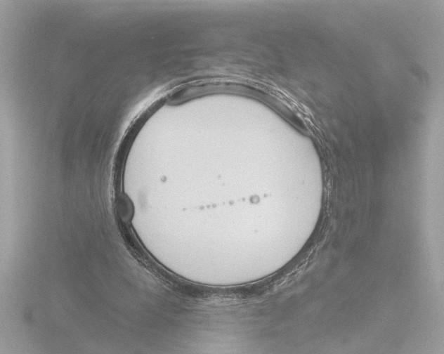 X0000116150248200912211514