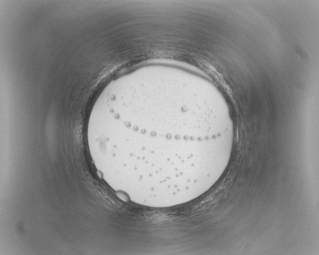 X0000116150249200912211514