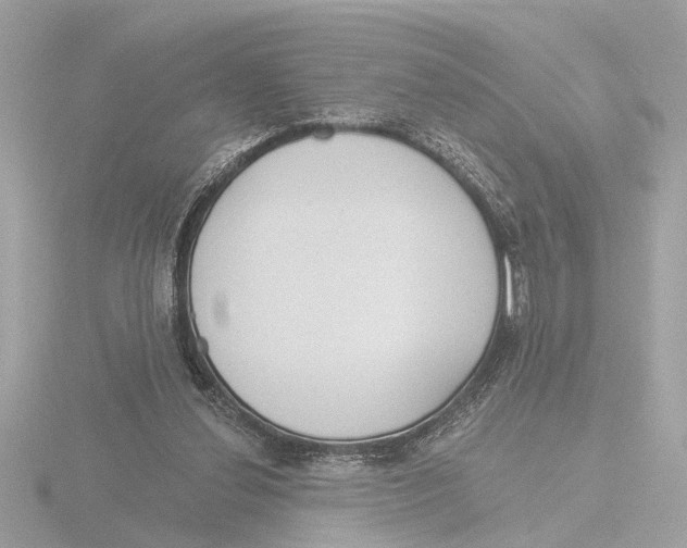 X0000116150252200912211514