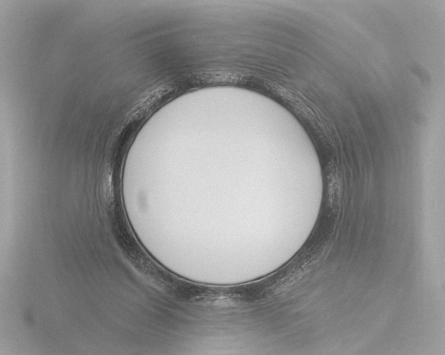 X0000116150254200912211514