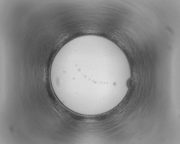 X0000116150255200912211514