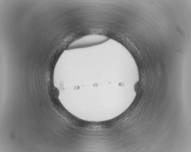 X0000116150260200912211514