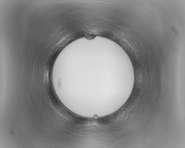 X0000116150262200912211514