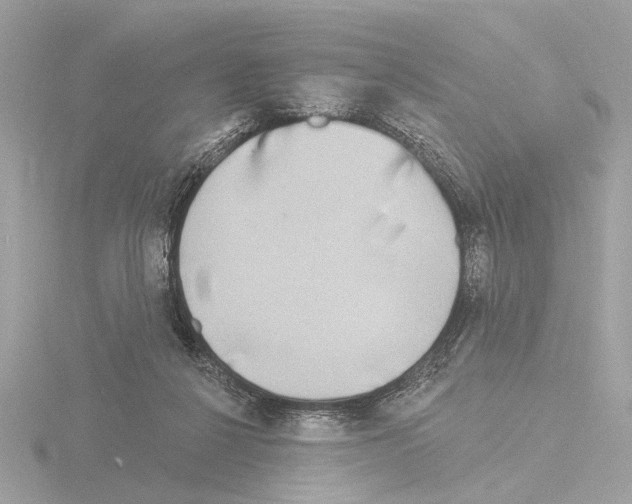 X0000116150264200912211514