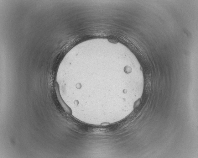 X0000116150268200912211514