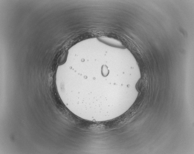 X0000116150271200912211514