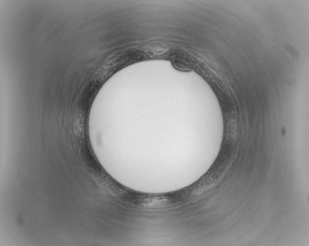 X0000116150274200912211514