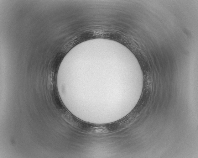 X0000116150275200912211514