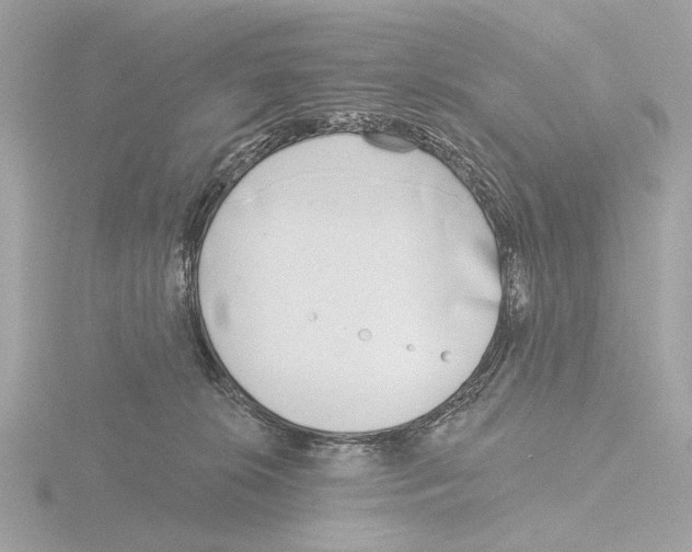 X0000116150276200912211514