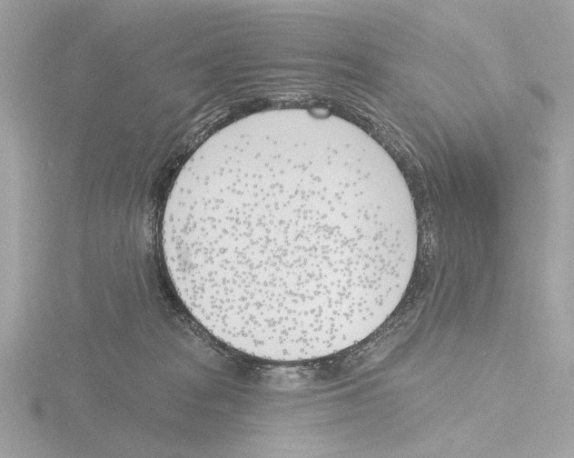 X0000116150277200912211514