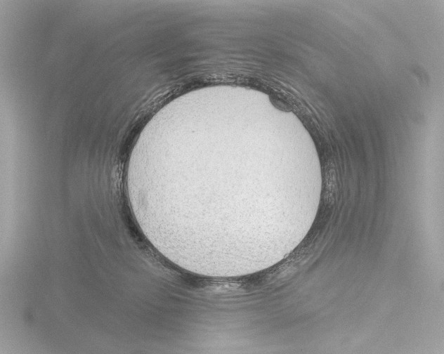 X0000116150278200912211514