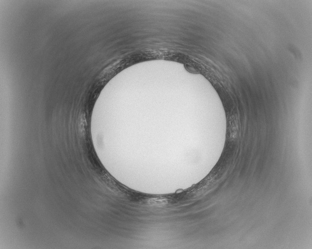 X0000116150279200912211514