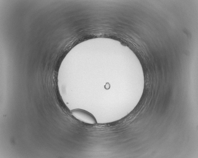 X0000116150280200912211514