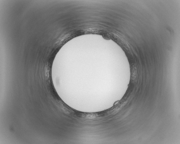 X0000116150282200912211515