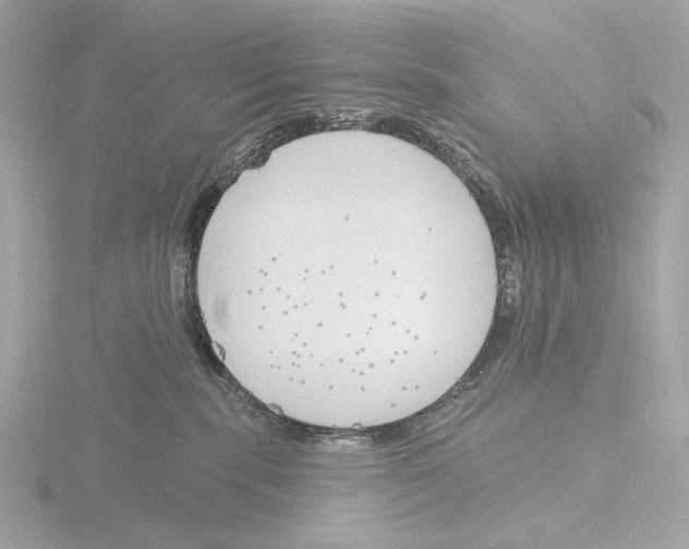 X0000116150283200912211515