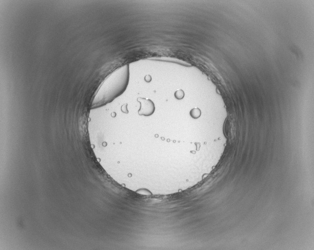 X0000116150285200912211515