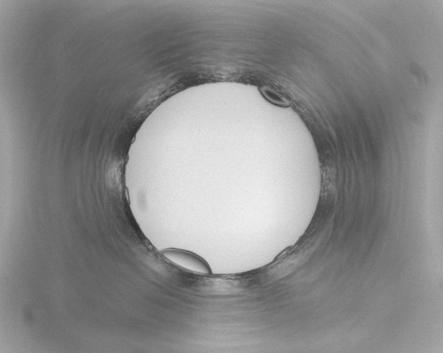 X0000116150286200912211515