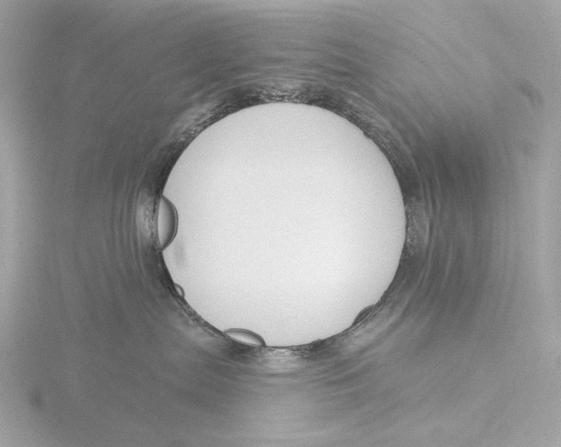 X0000116150287200912211515