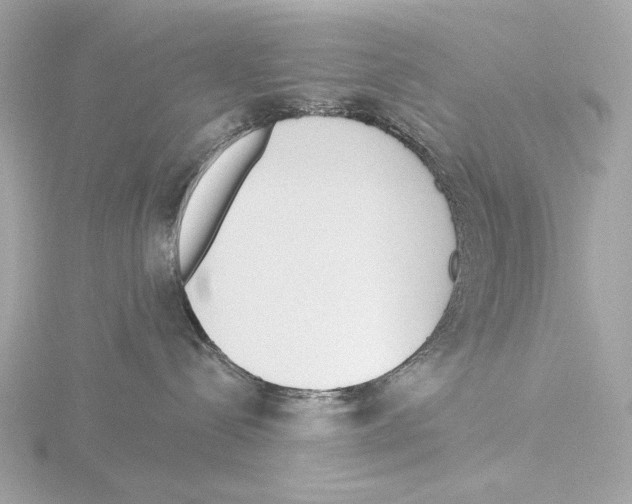 X0000116150288200912211515