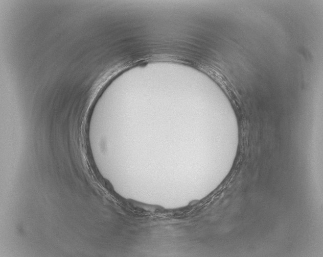 X0000116150289200912211514