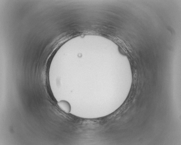 X0000116150290200912211514