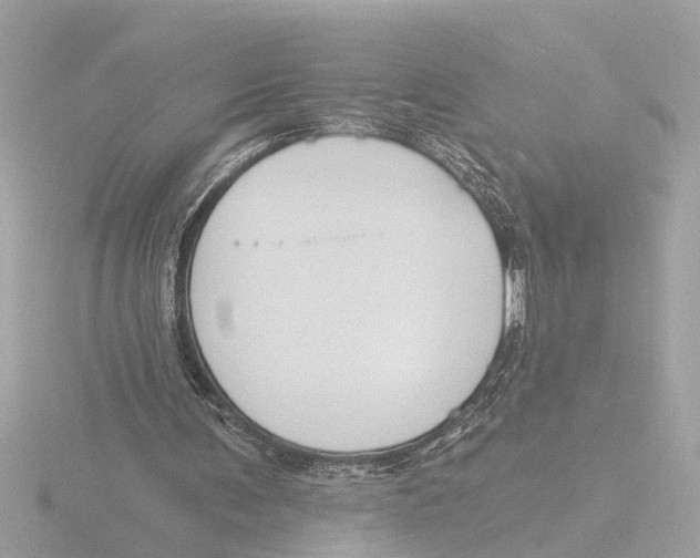 X0000116150291200912211514