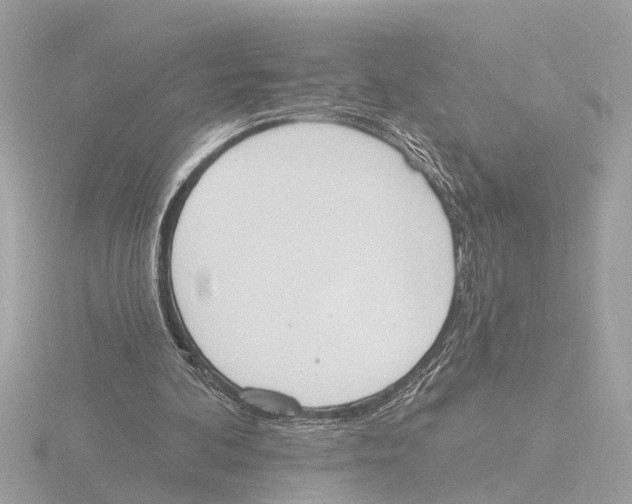 X0000116150292200912211514