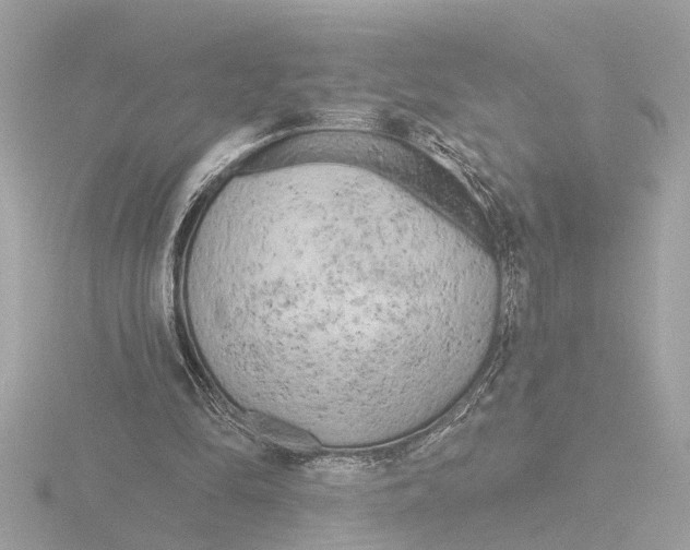 X0000116150294200912211514