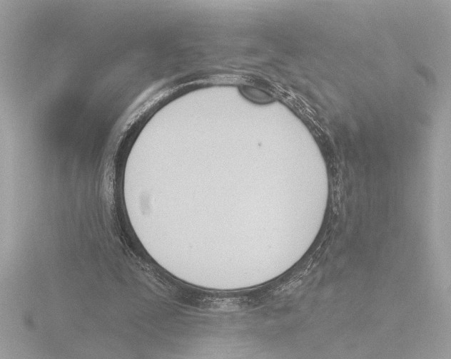 X0000116150295200912211514