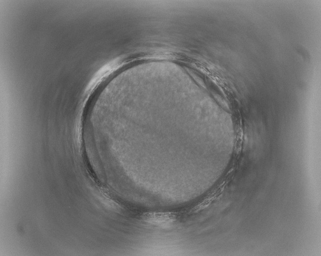 X0000116150296200912211514