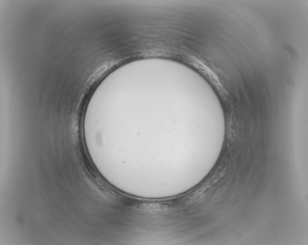 X0000116150298200912211514