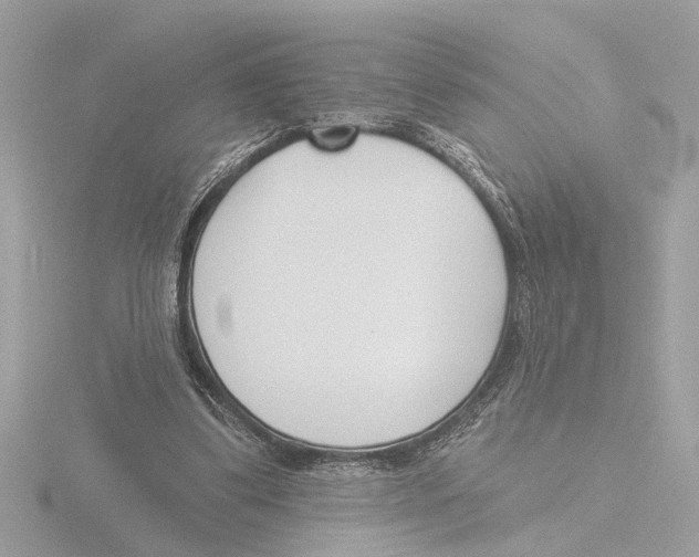 X0000116150299200912211514