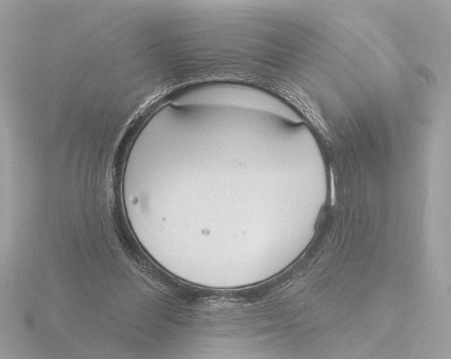 X0000116150300200912211514