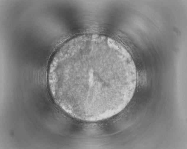 X0000116150301200912211514