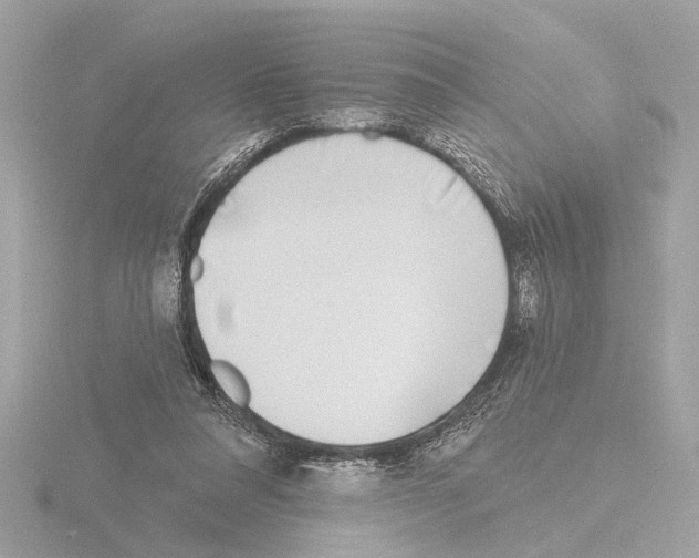 X0000116150304200912211514