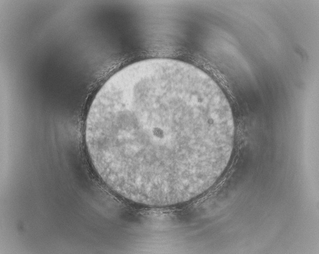 X0000116150305200912211514