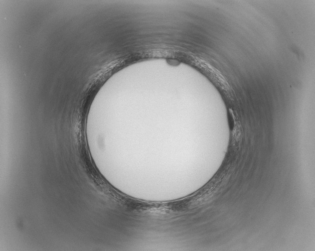 X0000116150306200912211514