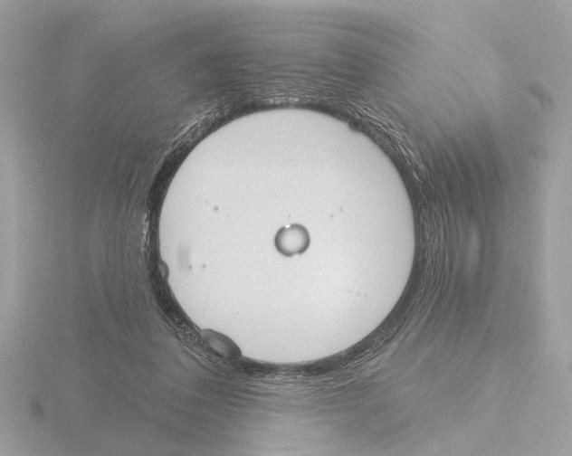 X0000116150308200912211514