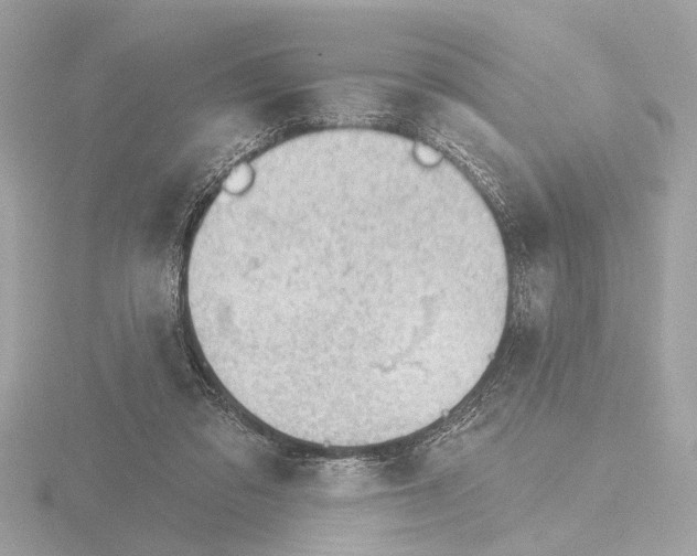 X0000116150309200912211514