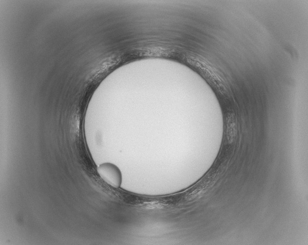 X0000116150310200912211514